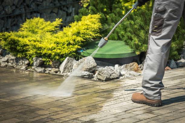 Animal Enclosure Cleaning in Valley Center, CA